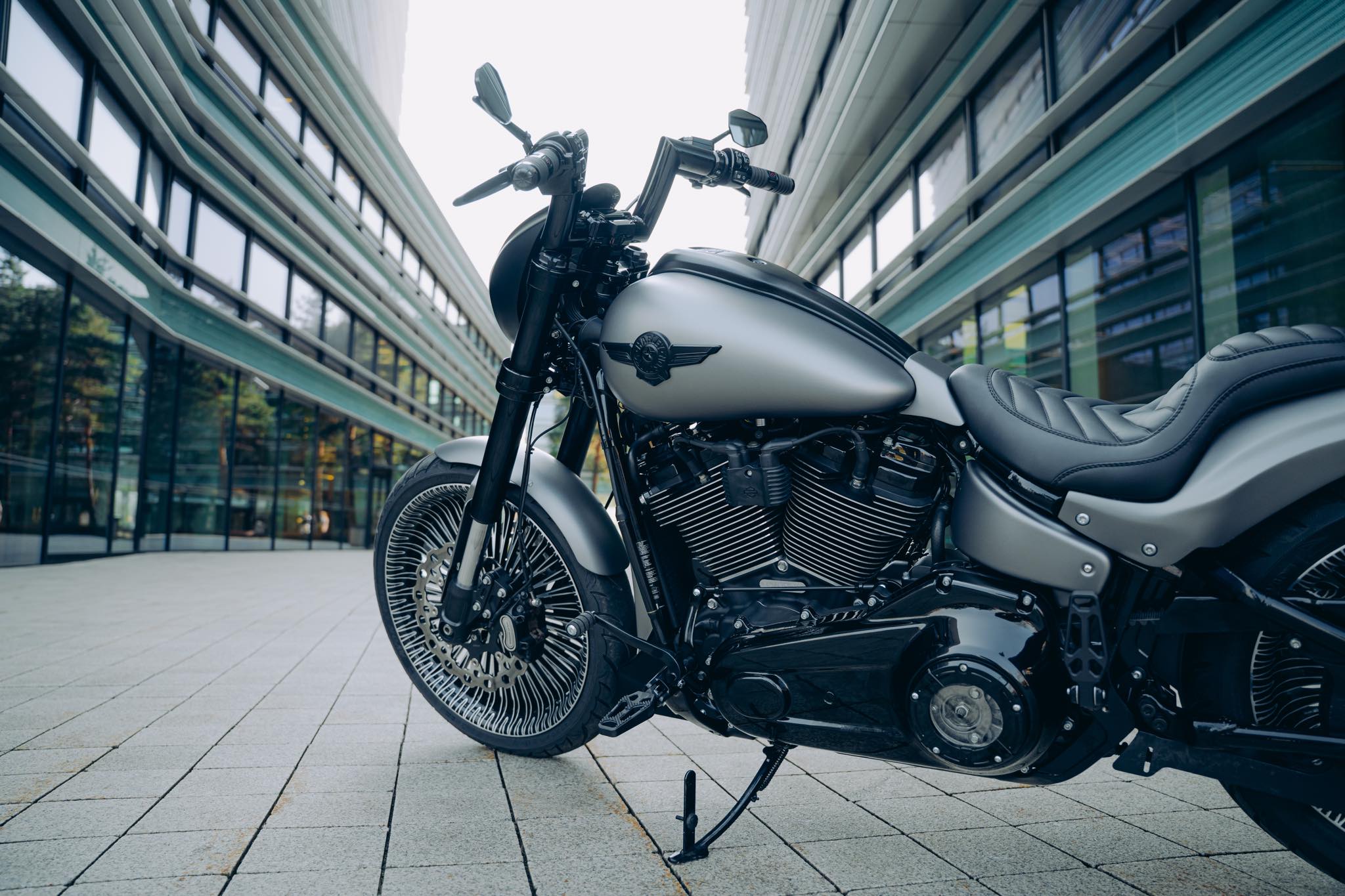 Custom Harley Davidson derby cover
