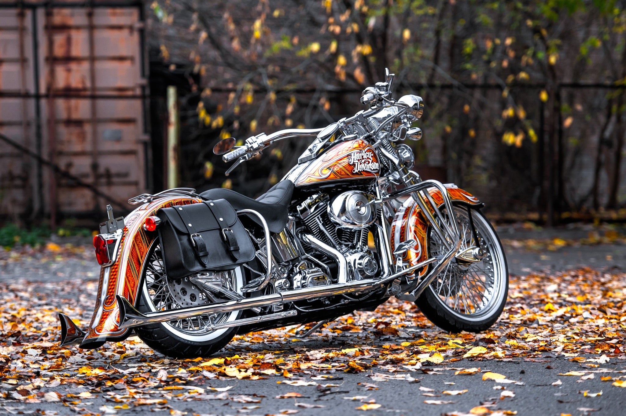 Chicano style Stretched Rear Fender for Harley Davidson Softail from 2000 to 2017 - Tommy&Sons
