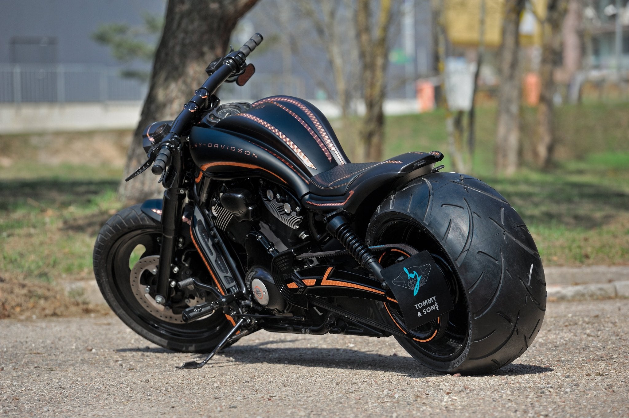 Custom Harley Davidson Night Rod with a 300 rear tire photographed from rear.