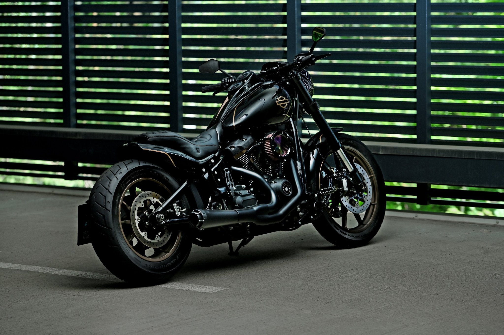 Custom Harley Davidson FXLRS Low Rider S