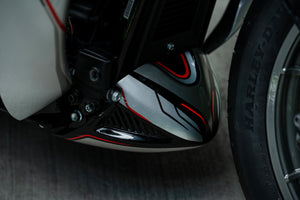 Harley Davidson Dyna/Softail radiator cover close up