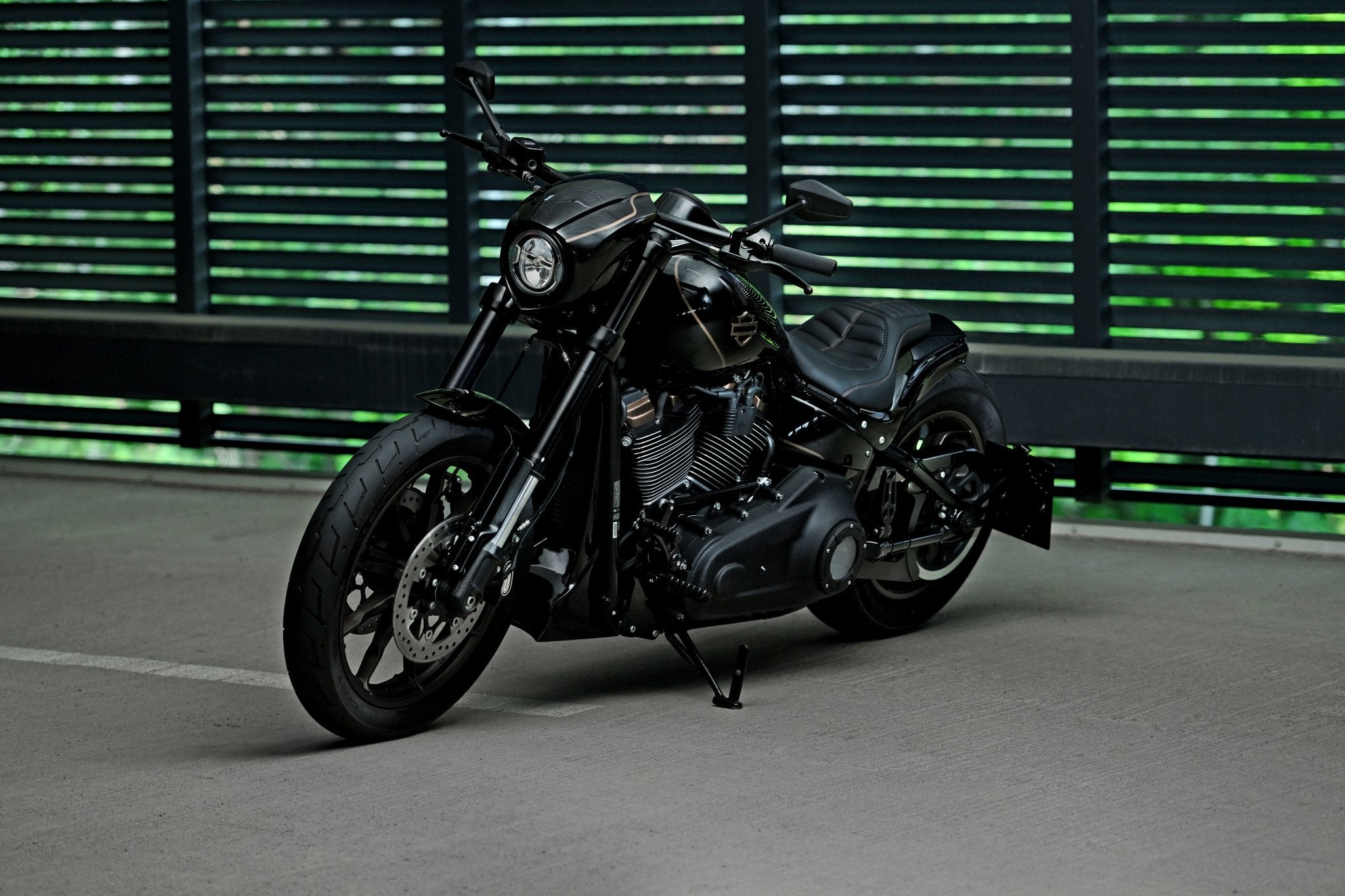 Custom Harley Davidson Low Rider S