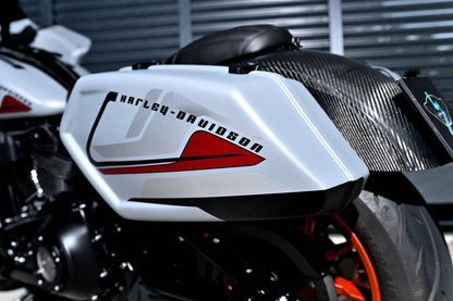 Close-up of a Harley-Davidson motorcycle body panel in white with black and red graphics, showing part of the seat, carbon-fiber rear fender, and wheel.
