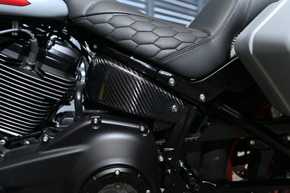 Close-up of a Low Rider ST seat and side panel with a black carbon fiber side panel mounted between the seat and engine components.