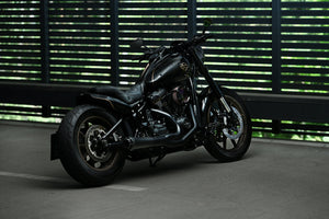 Short rear fender for Harley Davidson Street Bob, Softail Standard, full motorcycle