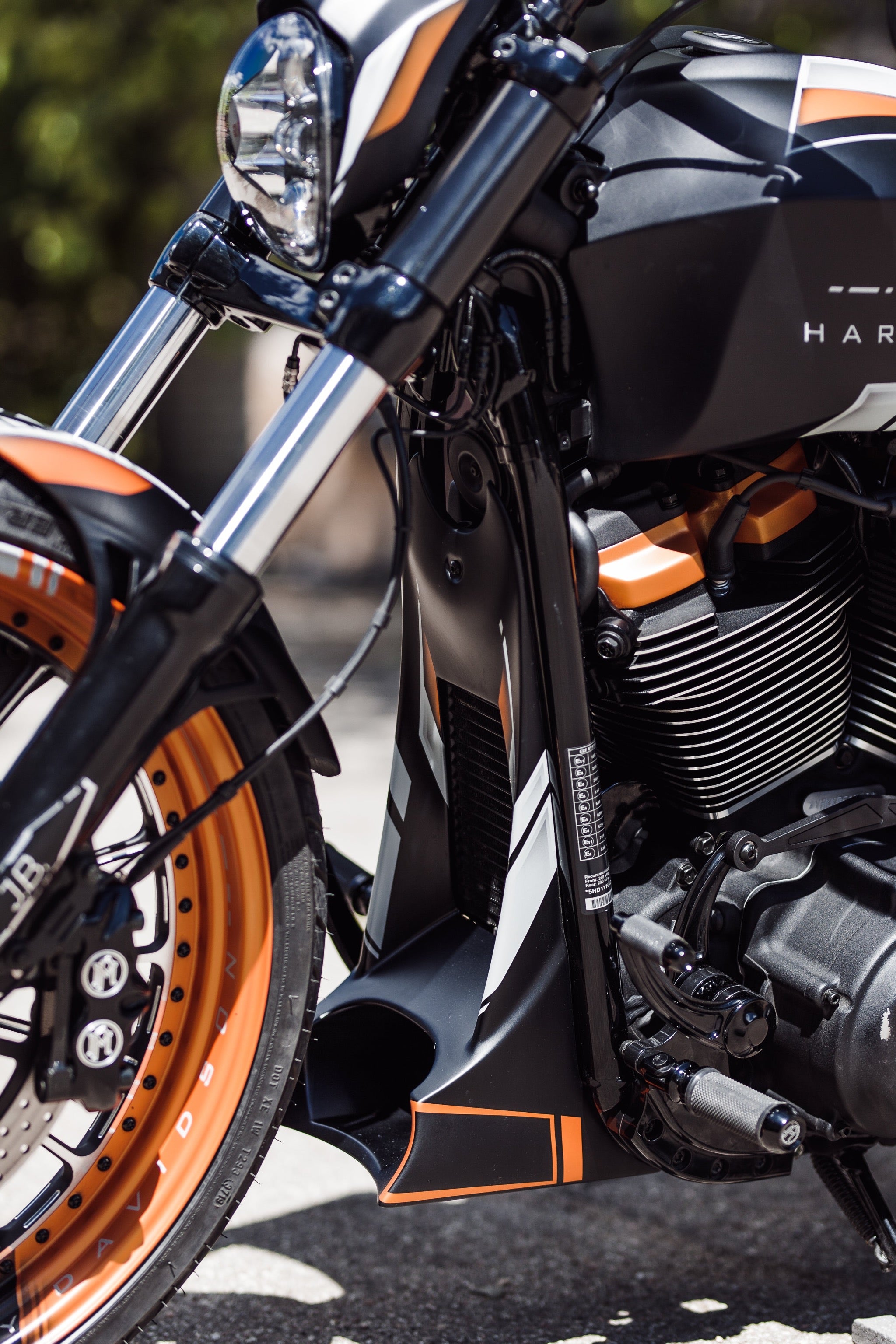 Sinner Line Radiator Cover for M8 Harley Davidson Softail models - Tommy&Sons